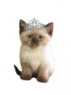 strijkapplicatie poes met kroontje prinses kitty